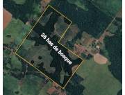 Vendo Finca Agrícola de 76 Hectáreas en Zona Fuji, Fram - CLCS6924798