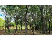 En Venta hermosos terrenos en urbanización Ciervo Cua