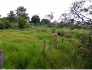 ACAHAY, PARAGUARÍ: 22 HECT. PROX. AL CASCO URBANO, INSTALACIONES COMPLETAS, INFRAESTRUCTUR