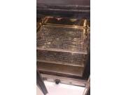 HORNO PASTEUR