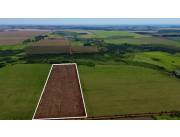Terreno Agrícola Mecanizado en Hernandarias - 16 Ha.