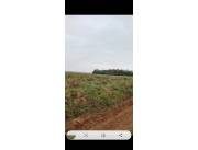 MBUYAPEY, PARAGUARÍ: 1.242 HAS P/ CULTIVO, GANADERÍA, CAMPO, MONTE, CONEX. IDEALES.