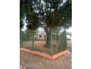 En venta terreno con pequeña casa en esquina de 240m2 en Valle Apua, Lambare