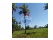 Terreno en Venta en Central Aregua Valle Pucú CALLE 3 DE NOVIEMBRE