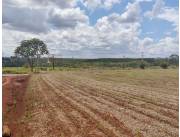 Campo Agrícola Mecanizado en Santa Fe del Paraná - 100 Ha.