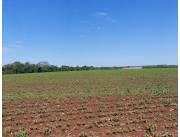 Terreno Agrícola/Ganadero en Carmen del Paraná - 10 Ha.