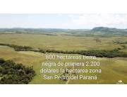 SAN PEDRO DEL PARANÁ: 1.400 HECT. GANADERAS, INFRAESTRUCTURA SUPERIOR P/ USO INMEDIATO.
