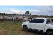 SAN PEDRO Y ANTEQUERA S/ RUTA: 700 HAS FORMADAS, INSTALACIONES, PASTURAS, AGRO-GANADERA.
