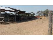 EN VENTA ESTABLECIMIENTO AGRO-GANADERO Id: 26588