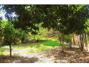 Hermoso Terreno en Fernando Fona Sur