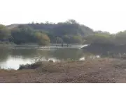 ESTABLECIMIENTO AGROGANADERO_ 8500 HA_A 25 KM DEL PILCOMAYO_1550 USDxHA_