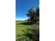VENTA DE 50 HA EN ARROYOS Y ESTEROS_ USD 350.000