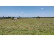 Vendo Campo de 270 Hectáreas en Paraguarí, Distrito de Quiindy - CLCS6960059
