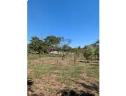 VENDO GRANJA TOTALMENTE EQUIPADA EN NUEVA COLOMBIA