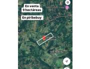 VENDO PROPIEDAD EN PIRIBEBUY 9 HECTAREAS COD 5462