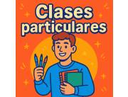 📐 Profesor particular para práctica intensiva
