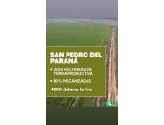 SAN PEDRO DEL PARANA, RESQUIN, YVY YAÚ: 2.500 HAS, ALTAMENTE PRODUCTIVAS, 80% MECANIZADA.