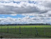 VENDI ESTANCIA DE 900 HA EN HORQUETA_USD 2.450.000._