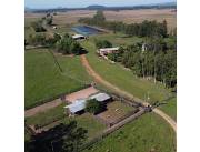VENDO ESTANCIA EN PARAGUARI 391 hectareas