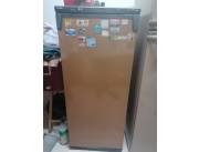 Vendo Freezer Consul Vertical Usado