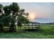 Campo Ganadero en Fuerte Olimpo con costas al Río Paraguay - 7686 Ha.