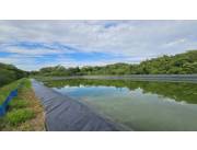 VENDO 53 ha EN ITACURUBI DE LA CORDILLERA_ USD 860.000
