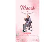 REGALO DIA DE LA MADRE - ANDADOR - ANDADOR PARA ADULTO - ANDADOR EN PARAGUAY - ANDADORES