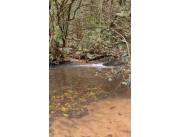 PIRIBEBUY: 43 HAS, P/ DESARROLLOS TURISTICOS, GRANJAS, BOSQUES NATIVOS, ARROYOS, CASCADAS.