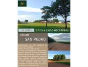 TACUATI, SAN PEDRO: 6.000 HAS, SUPERFICIE A CONVENIR, AGRO-GANADERA, INFRAESTRUCTURA.
