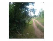 VENDO TRES PROPIEDADES JUNTAS EN PIRIBEBUY