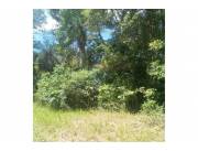 VENDO TRES PROPIEDADES JUNTAS EN PIRIBEBUY