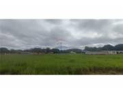 EN VENTA TERRENO EN NUEVO FRACCIONAMIENTO- LUQUE