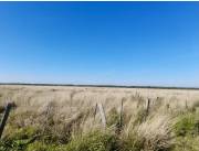 Campo Agrícola/Ganadero en Yuty - 340 Ha.