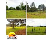 🎁 ¡OFERTA IRREPETIBLE! Terreno de 20 Hectáreas en Ciudad del Este – KM 12 MONDAY