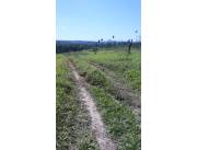 CAAZAPÁ: 902 HAS, AGRO-GANADERAS, P/ DESARROLLOS, PLANTACIONES, ALTA RENTABILIDAD, GRANADE