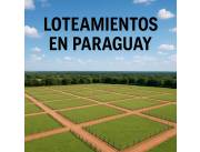 📊 Lotea con planificación profesional