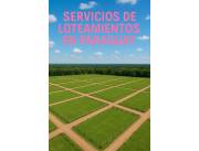 🛠️ Diseño de loteo a medida