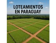 🌳 Lotea con enfoque sustentable