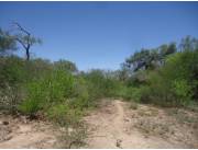 Campo Agrícola/Ganadero en Mcal. Estigarribia - 2220 Ha.