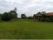 VENDO 40 HECTAREAS EN MINGA GUAZU KM 28 ALTO PARANÁ