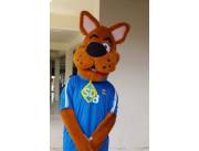 SHOW DE MUÑECOS PERSONAJES INFANTILES Y JOVENES