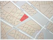 VENDO TERRENO EN FERNANDO DE LA MORA ZONA NORTE