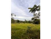 EN VENTA TERRENO DE 5 HA EN AGUAITY, EUSEBIO AYALA CORDILLERA