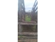 Vendo una Hermosa Propiedad Agroganadera en Dpto. Caaguazú - Carayaó