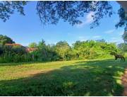 Vendo 3 Lotes 12x30 Juntos en Luque, Zarate Isla - CLLA6982987