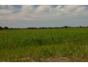 Vendo Estancia de 16.000 Hectáreas en Puerto Risso, San Lázaro - CLCS6983042