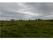 Vendo Propiedad Rural de 6.565 Hectáreas Sobre el Río Paraná - CLCS6983111