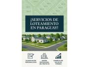 🗺️ Organización técnica de tu lote