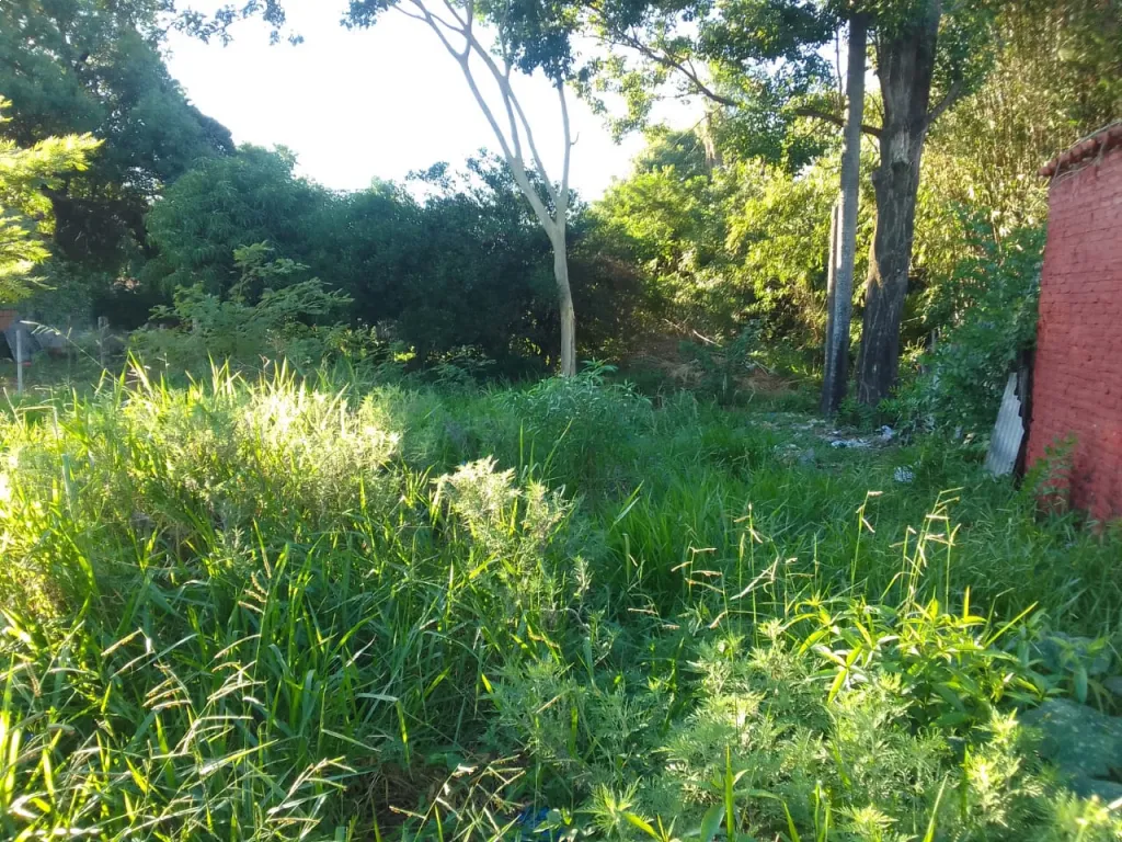 VENDO TERRENO EN SAN LORENZO - ZONA ACOSTA ÑU — foto 3