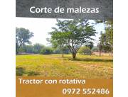 Mantenimiento de Áreas verdes